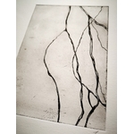 Verdegrine, gravure, Side A