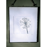 Gravure, Brin de nature, Verdegrine
