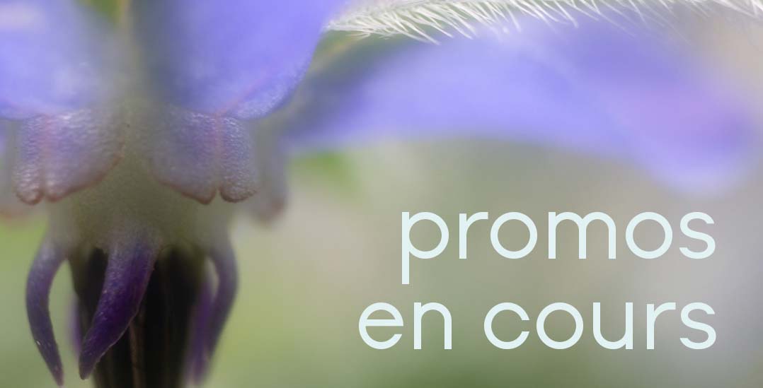 promos en cours 2b