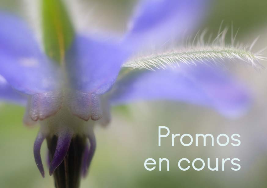 Promotions mylia en cours