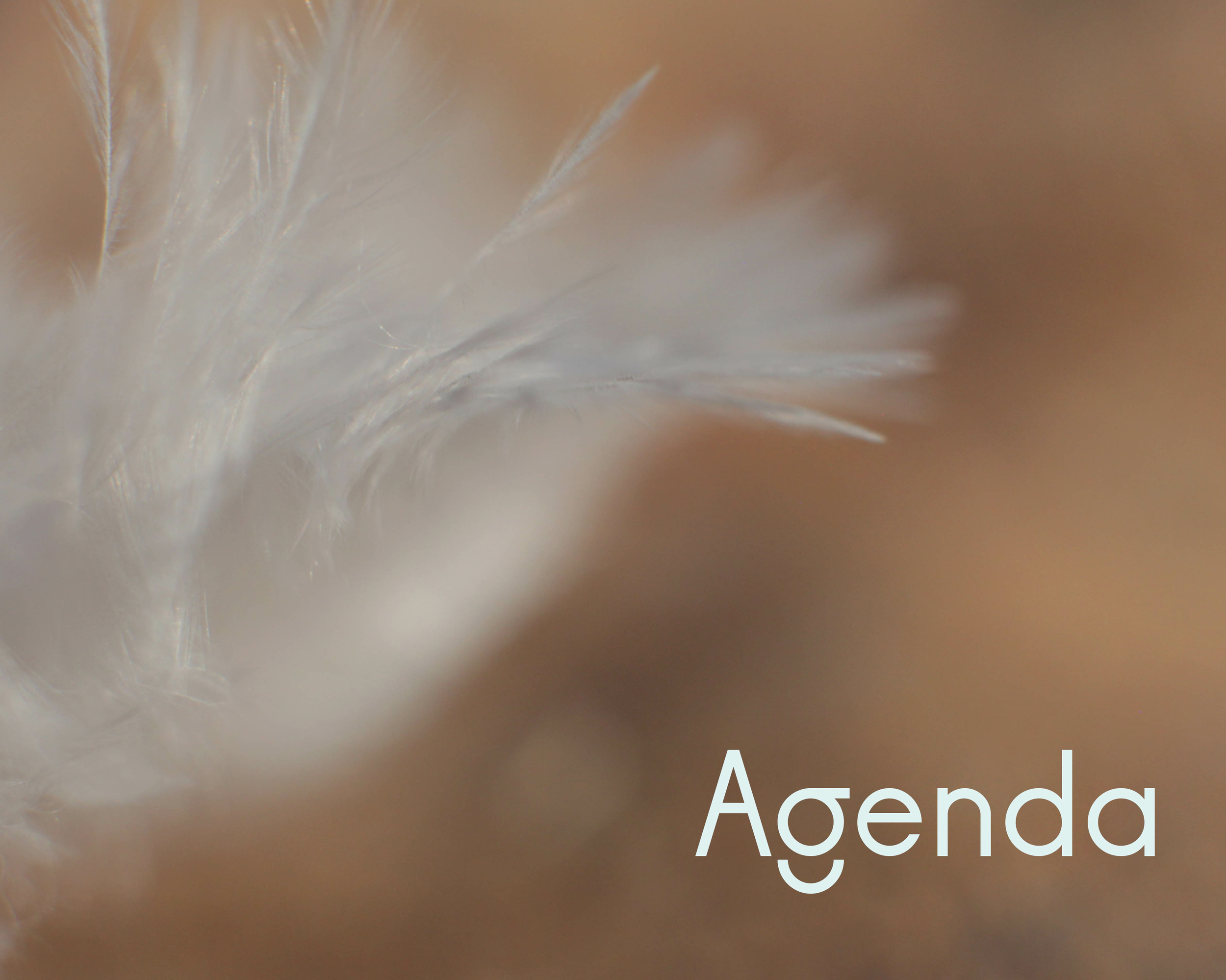 Agenda des Ateliers de fabrication 0 déchet