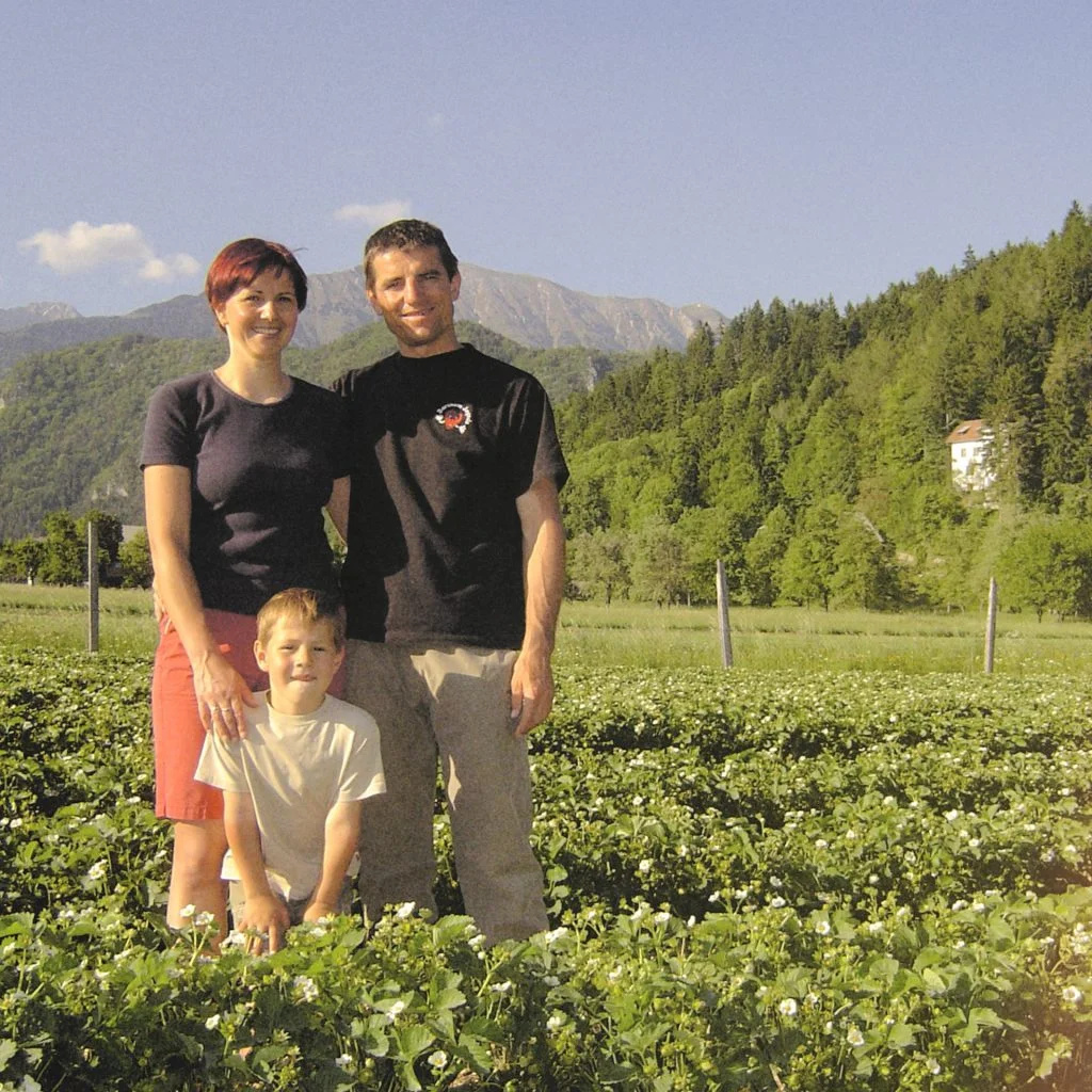 flaska the story strawberries family 1024x1024
