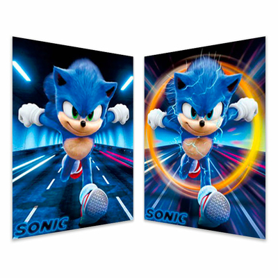 Poster 3D - Sonic the Hedgehog - 30x40 cm