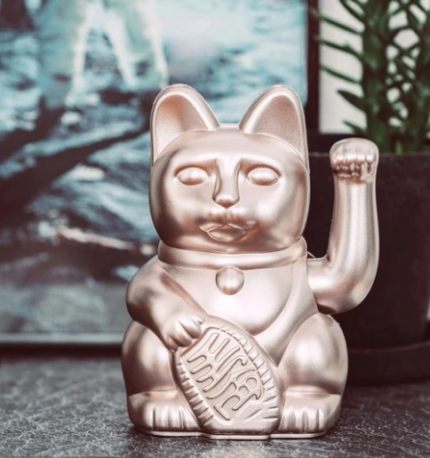chat lucky cat moonlight