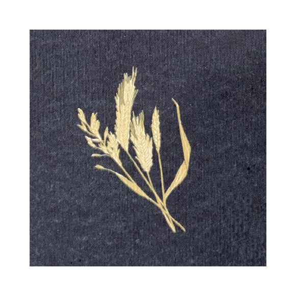 serviette 25x25 françoise paviot natural barley bleu