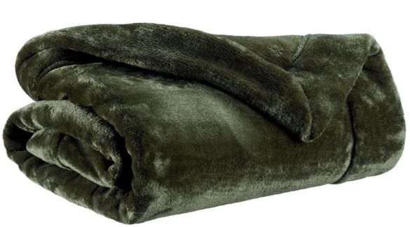 tenderfougère