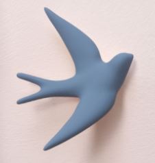 hirondelle bleu infini