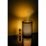 diffuseur-brume-de-parfum (5)