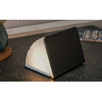 Lampe livre Cuir Noir Ginkgo GM