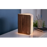 Lampe livre Bois Noyer Ginkgo GM 2