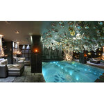 lustre cf3a en fibre optique by david emery hotel saint roch courchevel