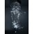 LUSTRE ENVOL