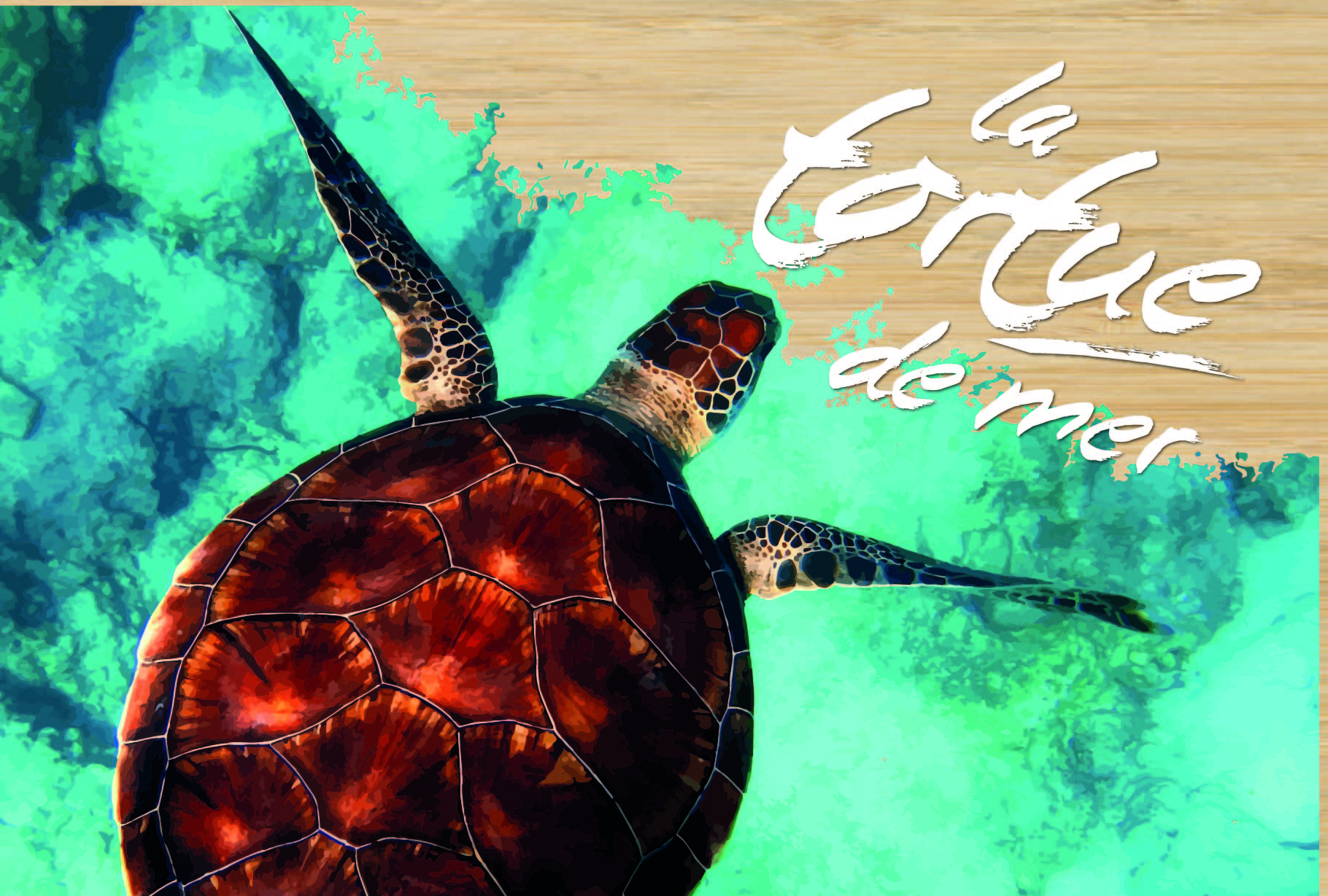 carte postale en bois tortue de mer