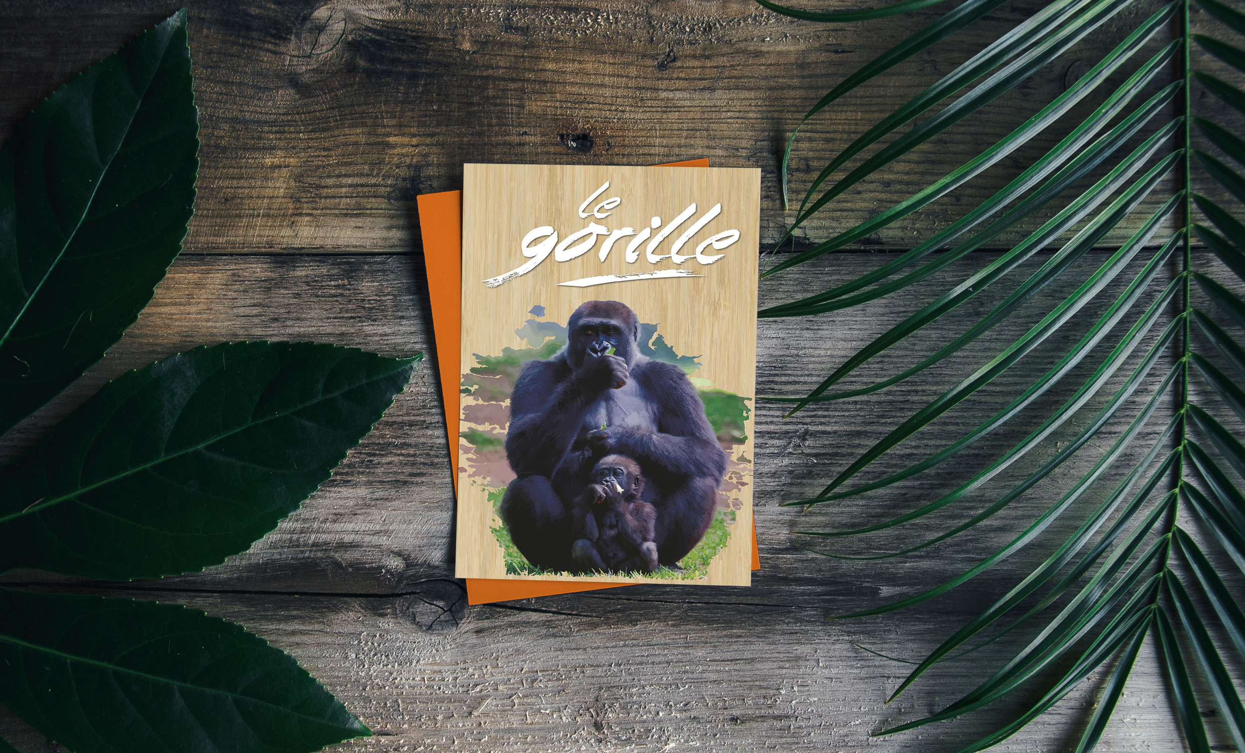 carte postale bois gorille