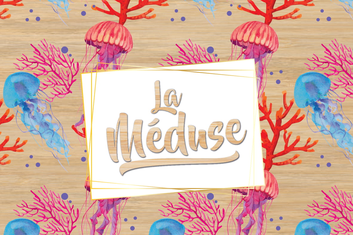 carte postale bois méduse