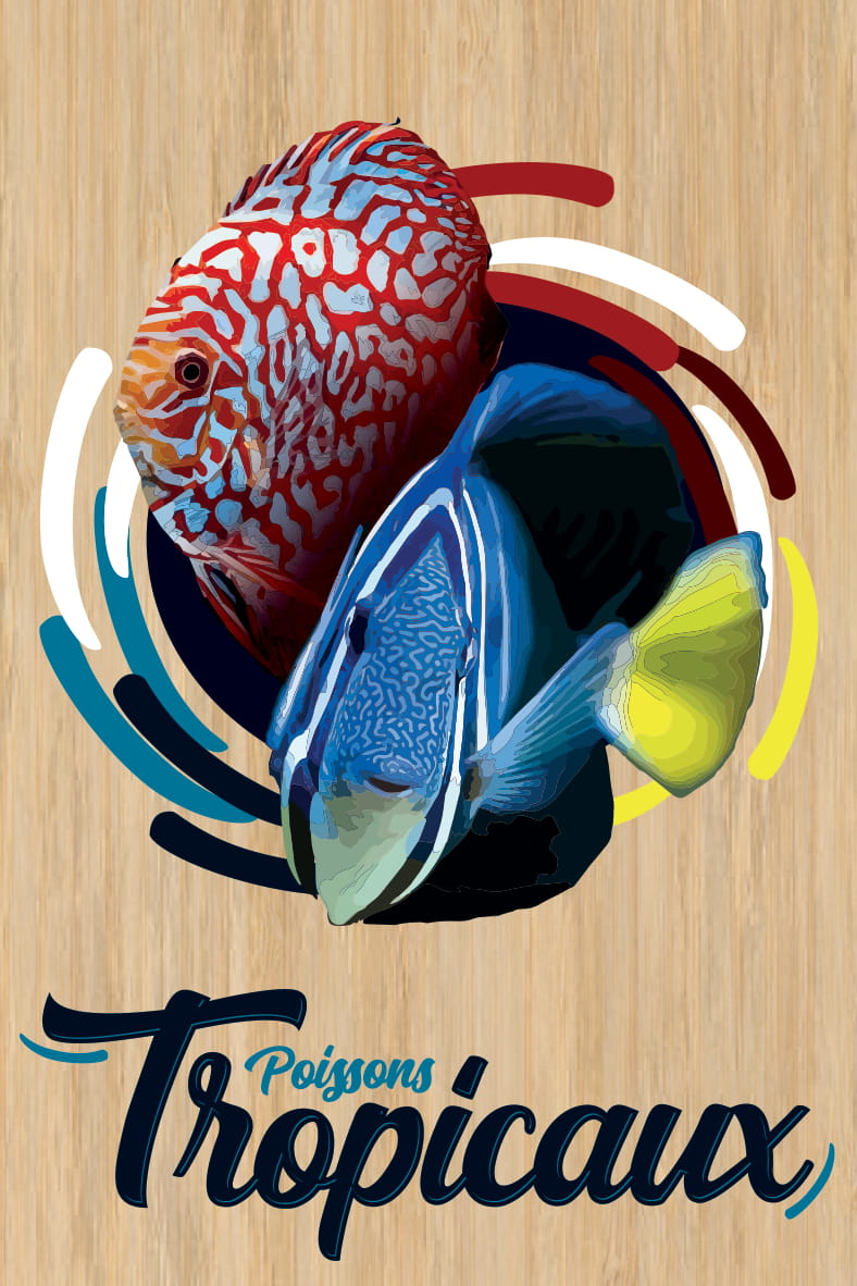 carte postale bois poissons tropicaux