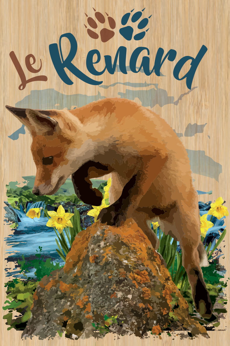 LOT DE 10 CARTES - RENARD