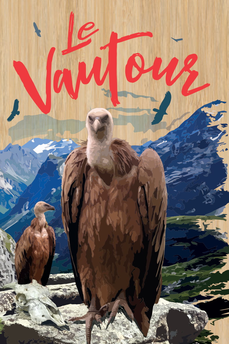carte postale bois vautour