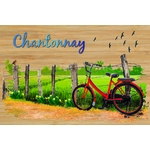 carte postale bois vélo chemin