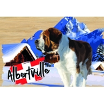 carte postale bois st bernard