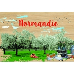 carte postale bois normandie
