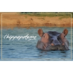 carte postale bois hippopotame