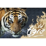 carte postale en bois tigre