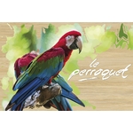 carte postale en bois perroquet