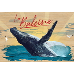 carte postale bois baleine