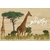 carte postale en bois girafes