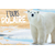 carte postale bois ours polaire