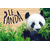 carte postale bois panda
