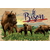 carte postale bois bison