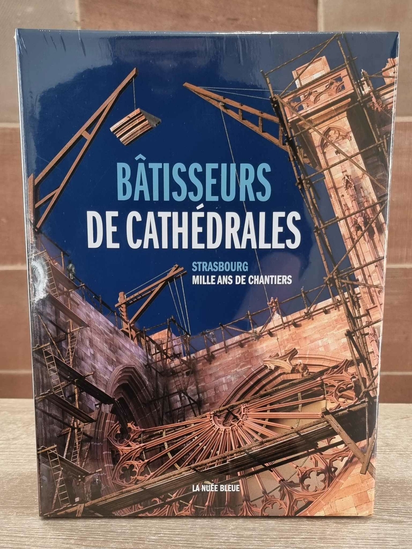 Les Bâtisseurs D'Empire – Histoire Des Troupes De Marine Tome 2 (1871-1931) – Sain-Michel Le Honzec