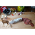 saucisson sec de cerf
