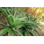 Fotolia_14904109_S