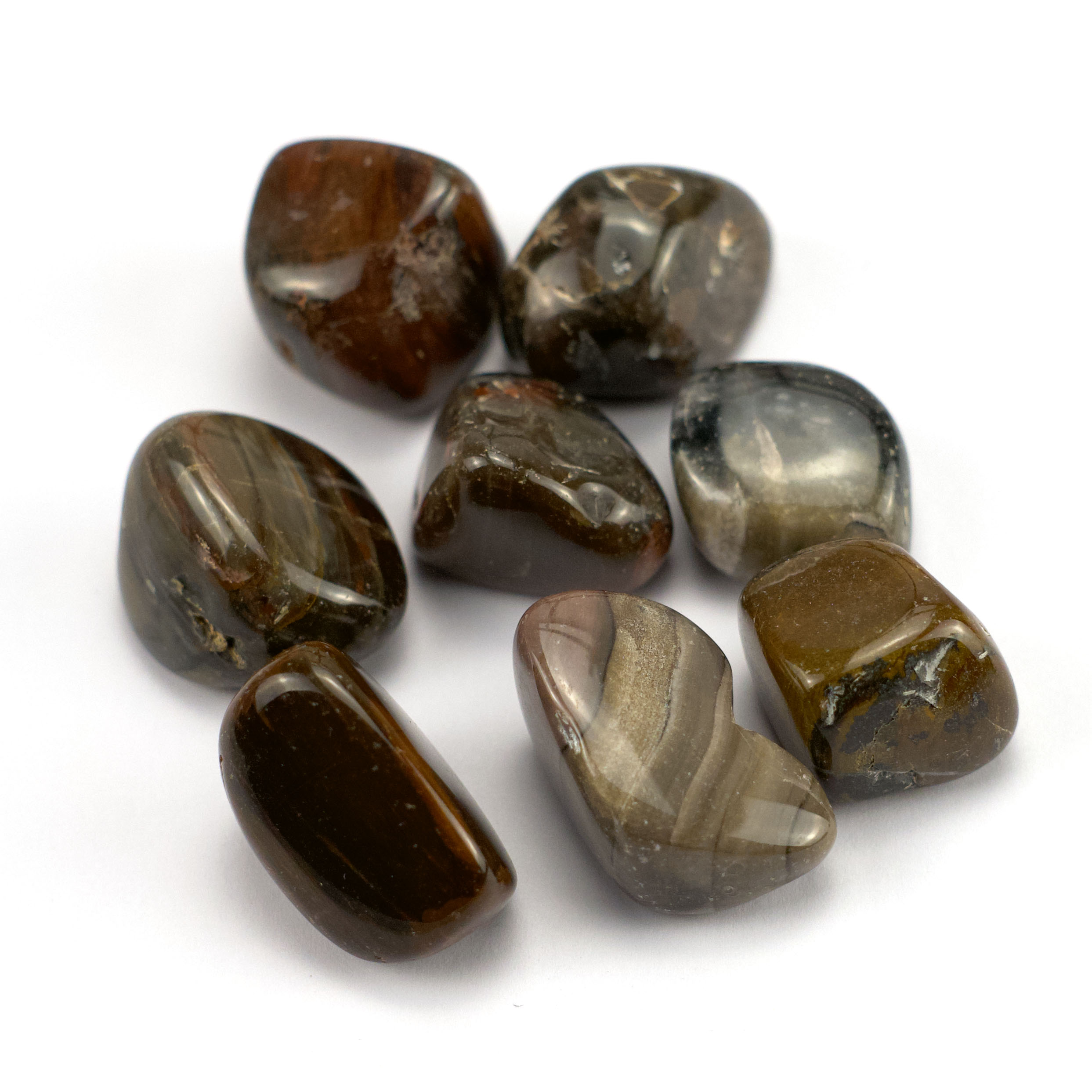 bois fossilisé copie