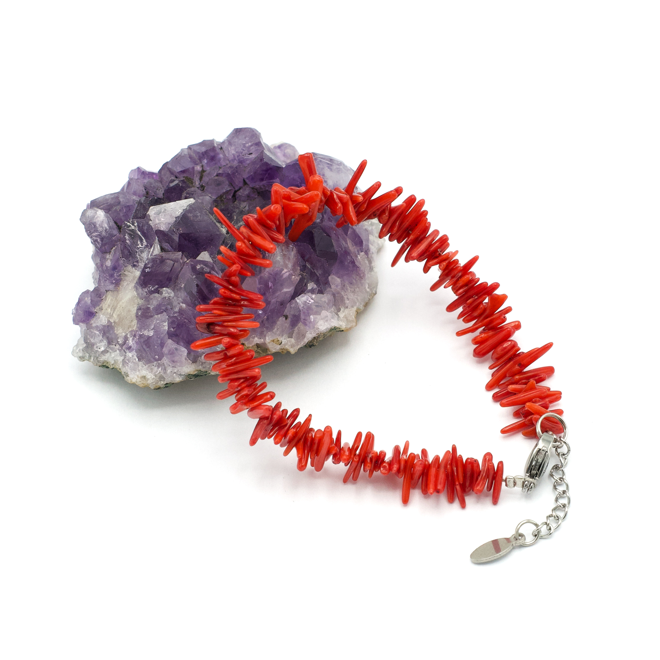 corail bambou mini branche 1