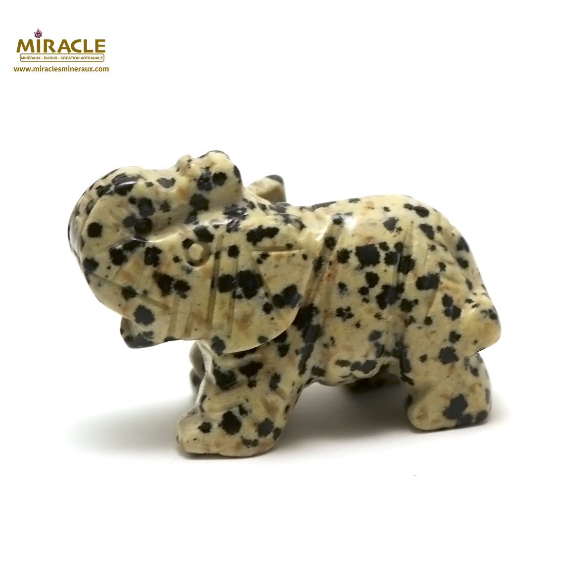 jaspe dalmatien
