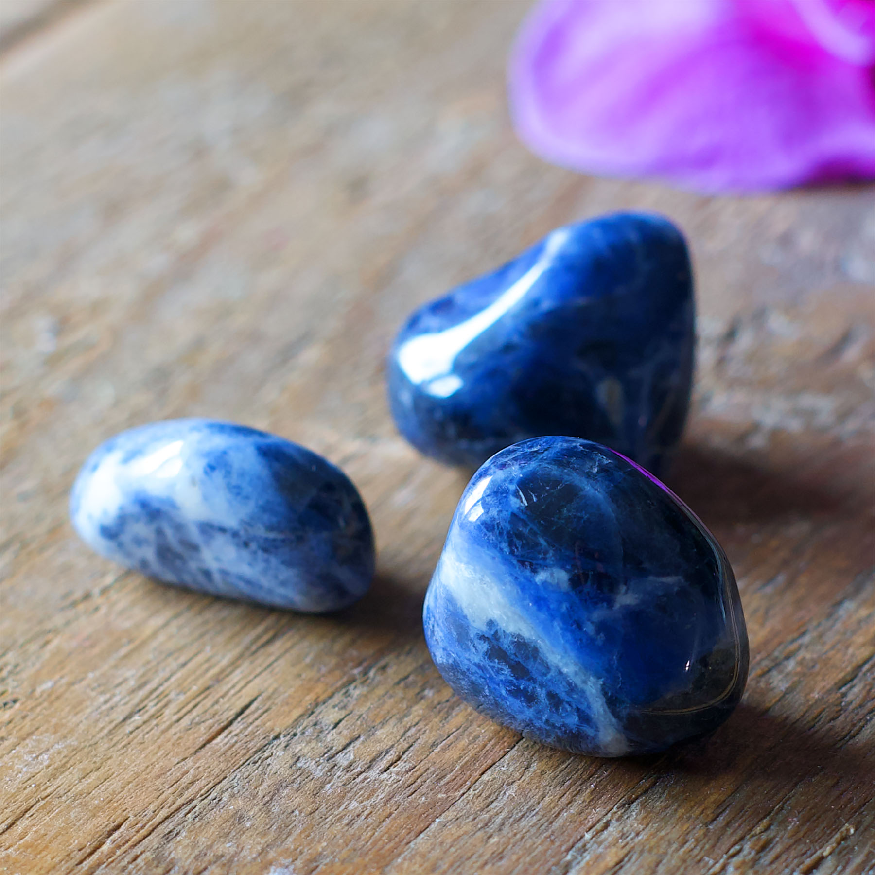 Bracelet homme tête de mort bleu sodalite