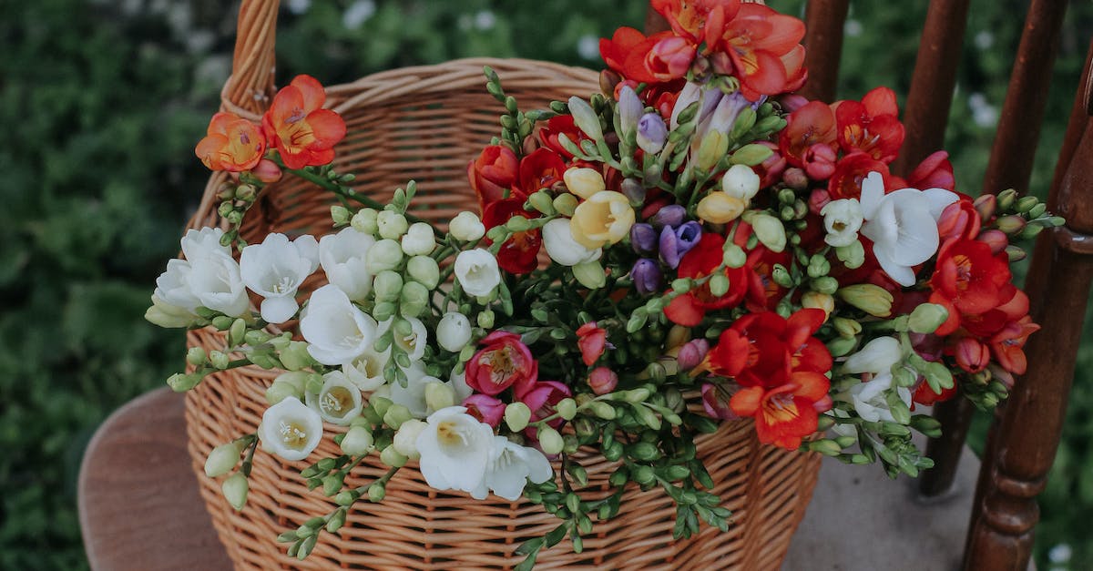 free stock photo of basket bouquet decoration