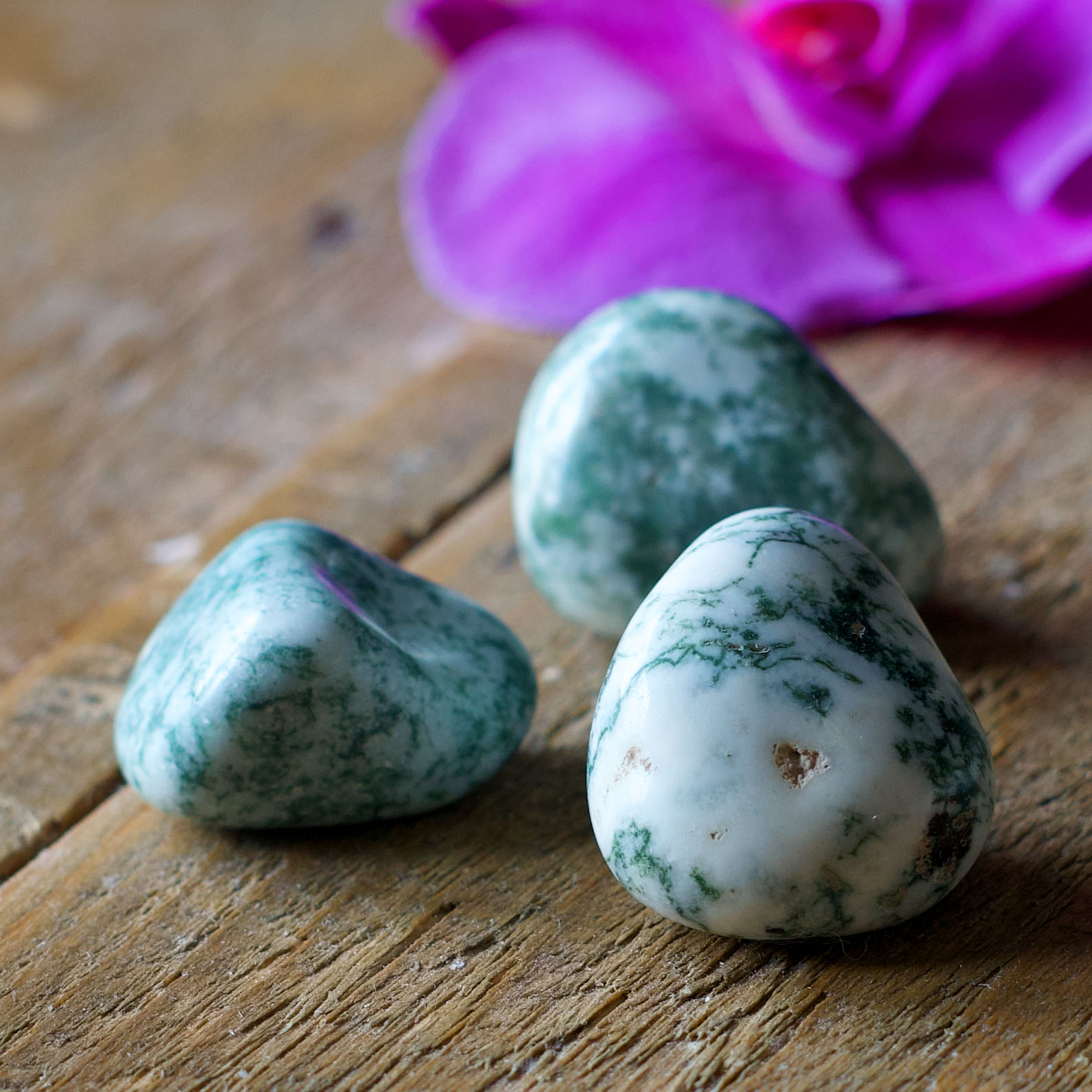 pierre roulée agate arbre