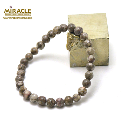 Bracelet agate fossile ou turitelle, perles rond 6 mm