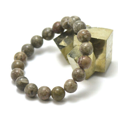 ronde 10 mm 1 bracelet en pierre naturelle d'agate fossile ou turitelle