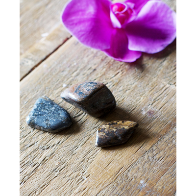 bronzite 3