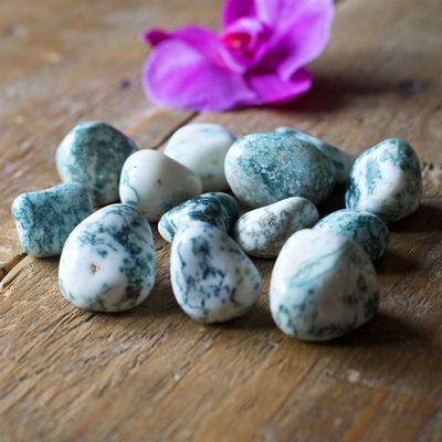 agate arbre 4