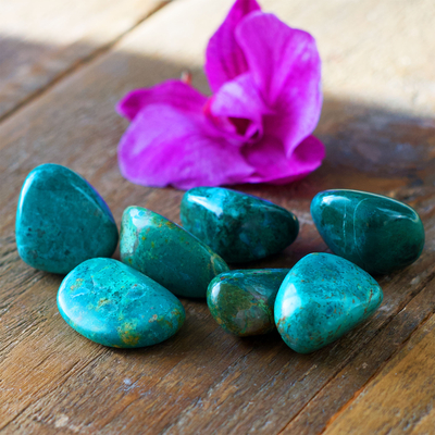 chrysocolle 4