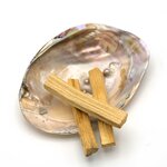 palo santo 1