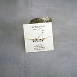 10 capricorne