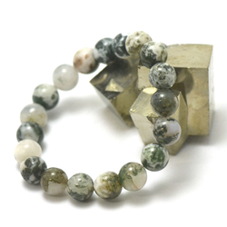 Bracelet agate fossile ou turitelle, perles rond 8 mm - Bracelet/Agate  fossile - Miracles minéraux